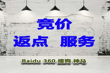 竞价推广公司案例分析：精准投放策略助力企业业绩翻倍